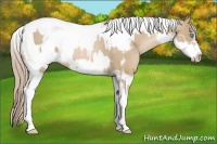 Horse Color:Chocolate Palomino Pearl Tobiano Frame  and Chocolate Palomino Pearl Tobiano Frame 