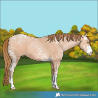 Horse Color:Bay Ice Pearl 