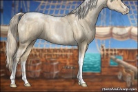 Horse Color:Chocolate Palomino Pearl Dun Tobiano Frame and Chocolate Palomino Pearl Dun Tobiano Frame