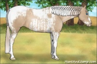 Horse Color:Chocolate Palomino Pearl Tobiano Frame  and Chocolate Palomino Pearl Splash Tobiano Frame 