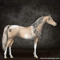 Horse Color:Chocolate Palomino Pearl Tobiano Frame  and Chocolate Palomino Pearl Tobiano Frame 