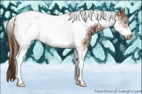 Horse Color:Chocolate Palomino Pearl Tobiano Frame and Liver Chestnut Tobiano Frame
