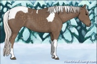 Horse Color:Silver Black Tobiano