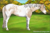 Horse Color:Chocolate Palomino Pearl Tobiano Frame  and Chocolate Palomino Pearl Splash Tobiano Frame 