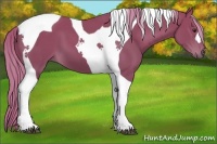 Horse Color:Chestnut Tobiano 
