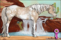 Horse Color:Chocolate Palomino Pearl Tobiano Frame and Chocolate Palomino Pearl Tobiano Frame