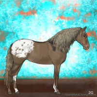 Horse Color:Liver Red Dun Appaloosa Rabicano