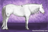 Horse Color:Liver Chestnut Ice Sabino Splash 