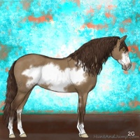 Horse Color:Liver Red Dun Sabino Frame 