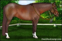 Horse Color:Chocolate Brown 