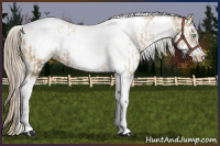 Horse Color:Chocolate Palomino Pearl Tobiano Frame  and White Spotted Chocolate Palomino Pearl Tobiano Frame 
