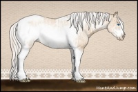 Horse Color:Chocolate Palomino Pearl Tobiano Frame  and Gold Cream Champagne Pearl Tobiano Frame 