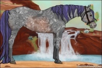 Horse Color:Painted Brown Ice Appaloosa 