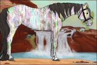 Horse Color:Smoky Black Ice