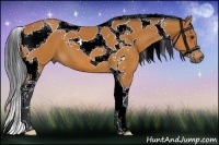 Horse Color:Bay Tobiano