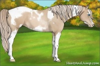 Horse Color:Chocolate Palomino Pearl Tobiano Frame  and Chocolate Palomino Pearl Splash Tobiano Frame 