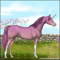 Horse Color:Gold Champagne