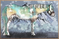 Horse Color:Plaid  White Spotted Chocolate Palomino Onyx Rabicano 