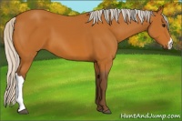 Horse Color:Silver Bay 