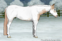 Horse Color:Chocolate Palomino Pearl Tobiano Frame  and Gray Chocolate Palomino Pearl Tobiano Frame 