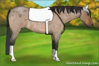 Horse Color:Bay Roan Dun