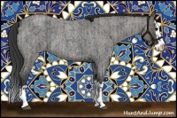 Horse Color:Blue Roan Sabino Splash and Grullo Roan Sabino Splash