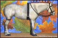 Horse Color:Silver Classic Cream Champagne Roan Splash Tobiano Frame Blanket Rabicano 