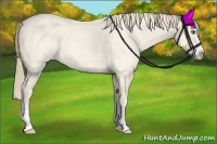 Horse Color:Perlino Roan Splash