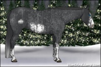 Horse Color:Blue Roan Sabino Splash  and Blue Roan Sabino Splash Frame 