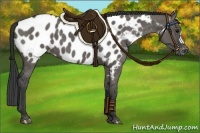 Horse Color:Grullo Appaloosa Brindle 