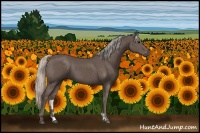 Horse Color:Silver Black 