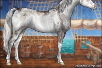 Horse Color:White Spotted Chocolate Silver Blue Onyx Chinchilla Ice Sabino 