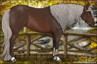 Horse Color:Silver Brown Mushroom