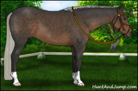 Horse Color:Liver Chestnut Mushroom 