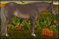 Horse Color:Liver Chestnut Mushroom 