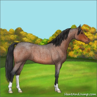 Horse Color:Brown Roan 