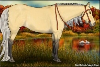 Horse Color:Silver Buckskin Dun 