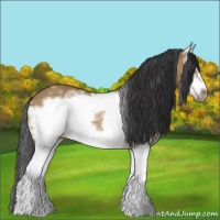 Horse Color:White Spotted Bay Dun Splash Frame 