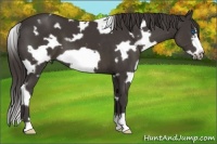 Horse Color:White Spotted Smoky Black Frame