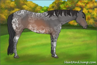 Horse Color:Brown Ice 