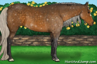 Horse Color:Silver Buckskin 