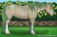 Horse Color:Watercolor Sable Cream Champagne Varnish 