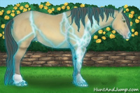 Horse Color:Thunderstruck Amber Cream Champagne 