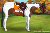 Horse Color:Brown Tobiano