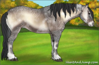 Horse Color:Brown Ice Onyx