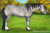 Horse Color:Blue Onyx Ice