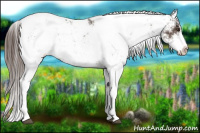 Horse Color:Liver Chestnut Sabino