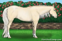 Horse Color:Silver Smoky Blue Roan Pearl Rabicano