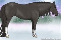 Horse Color:Smoky Black 