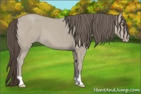 Horse Color:Classic Cream Champagne